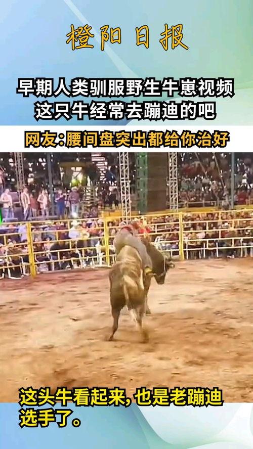牛牛国产视频